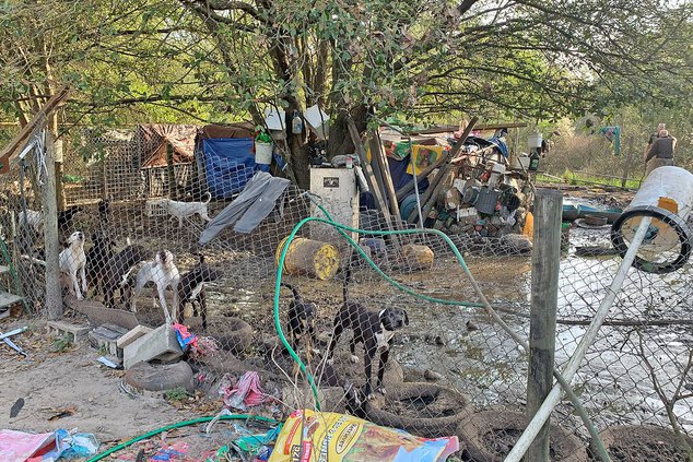 dog pen