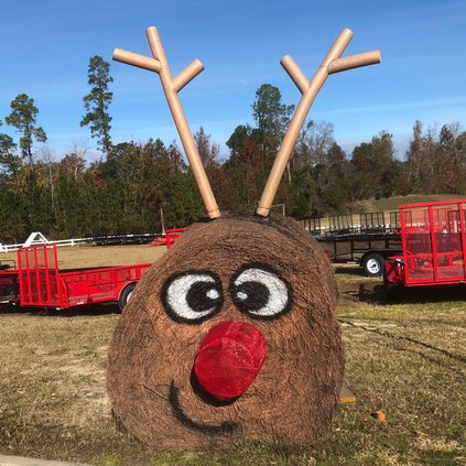 reindeer
