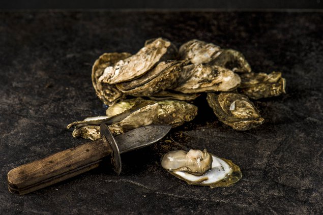 oysters