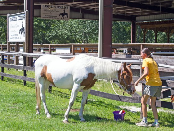 Faith Equestrian