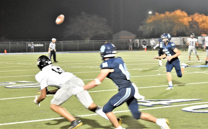 wildcats camden county1