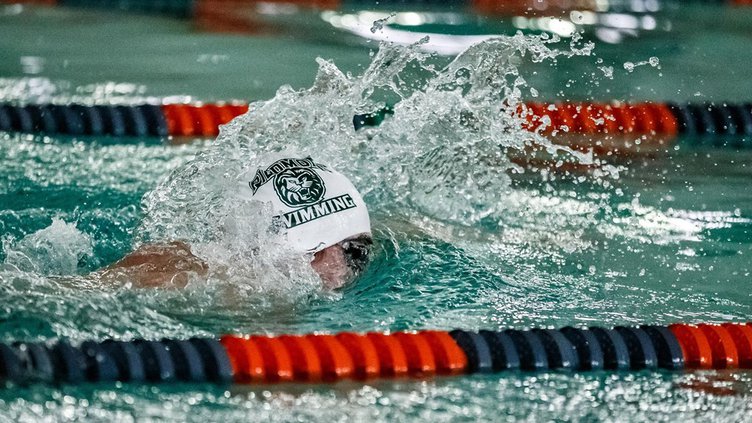 swimmer