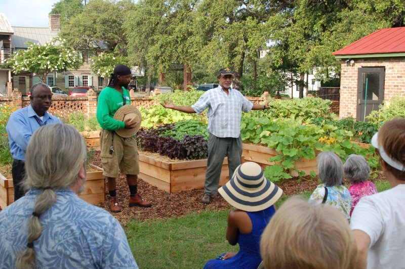 The Canyon Ranch Institute Healthy Garden at Trustees’ Garden is a hands-on experience for experienced and novice gardeners. Growing vegetables and herbs, sharing the produce, and making new friends promote health literacy in the community.