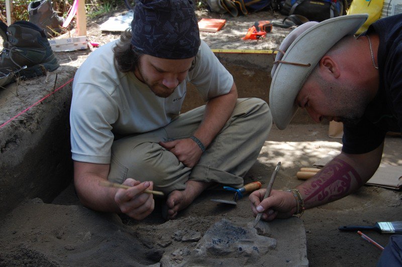 Archaeology continues at the possible de Soto encampment in Telfair County, GA.