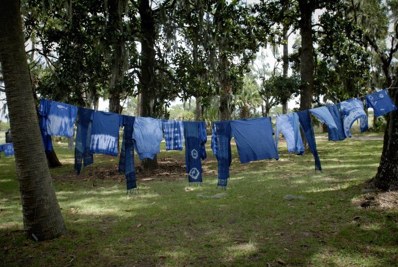 Fifty shades of blue: The dye from Ossabaw Island's heritage indigo plants yields a 'bright and vibrant' shade that's different from other types.