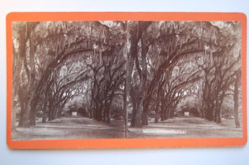“Bonaventure” stereograph by O. Pierre Havens, after 1869.