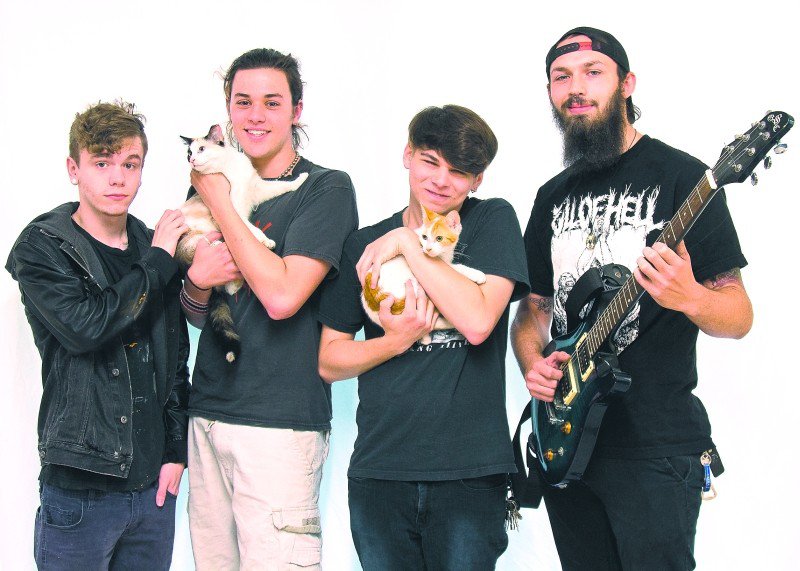 The Anxiety Junkies: for when you want your punk rock loud, proud, and right meow.
