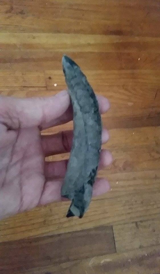 One of Eric's finds, a whale tooth