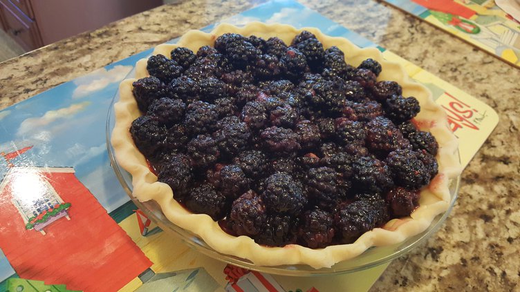 blackberry pie