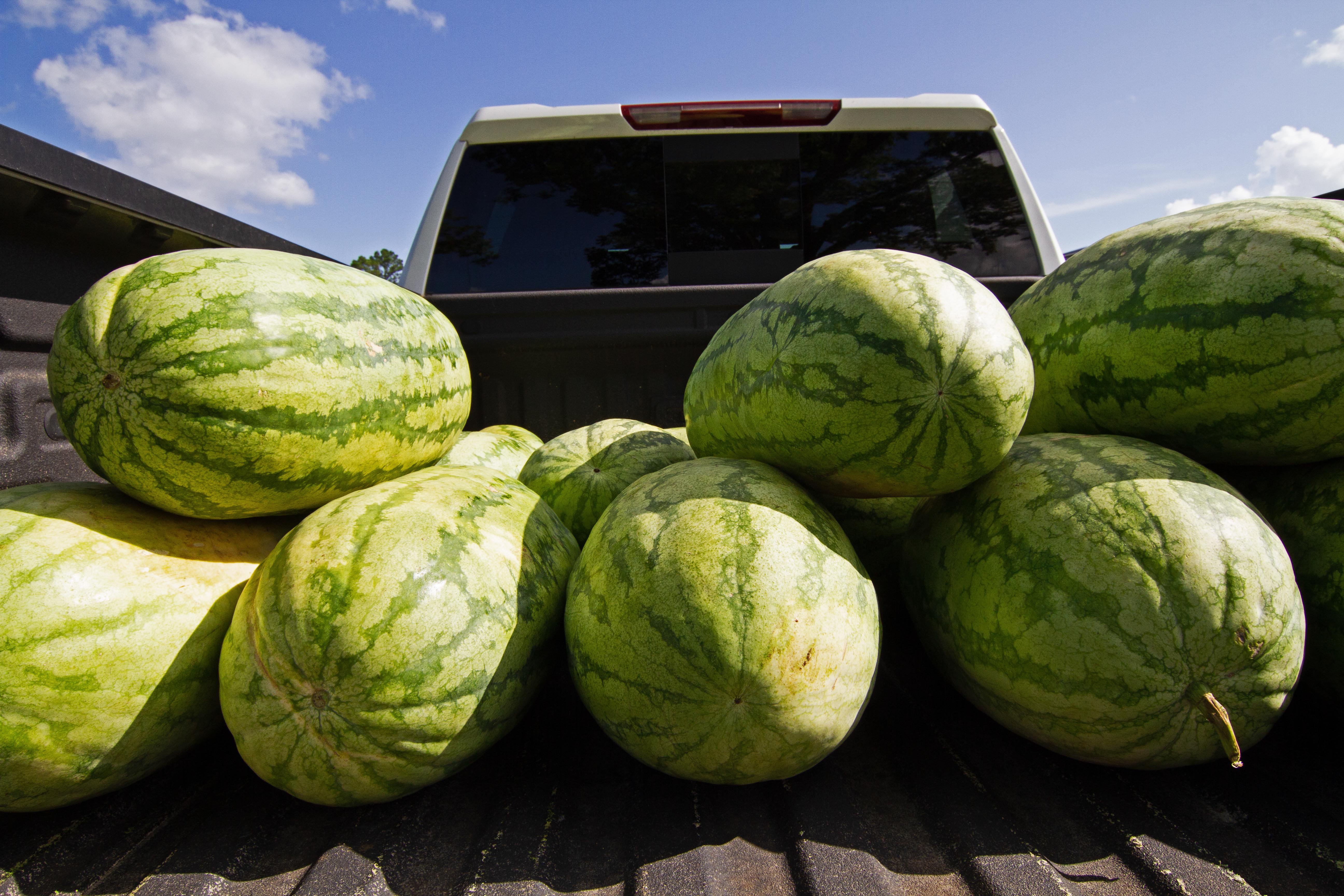 melons in the truck corr..jpg