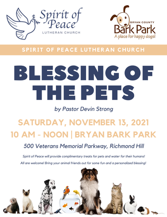 pet blessing nov 21