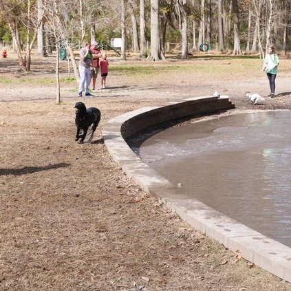 bark park 2
