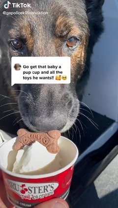 Rio pup cup