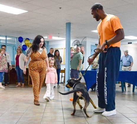 Fostering Freedom program