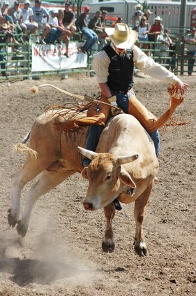 Bull riding