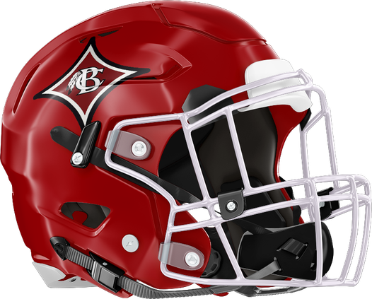 BCHS helmet