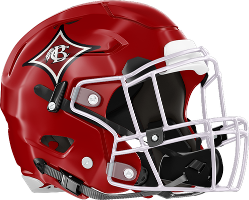BCHS helmet