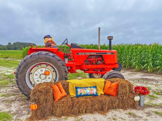 couch at corn maze