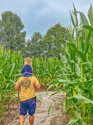 corn maze visitors