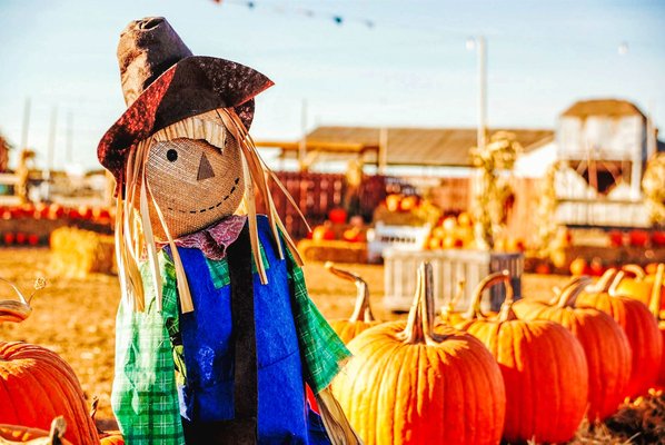 Scarecrow