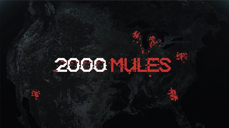 2000 mules