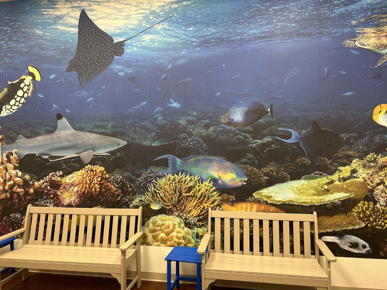 SouthCoast Health Pediatrics in Richmond Hill holds grand opening