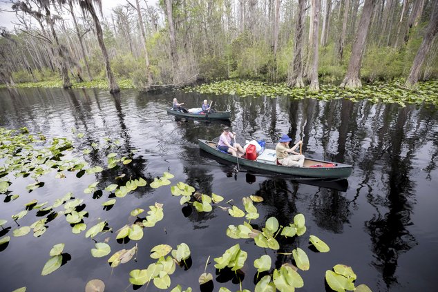 FILE - A group of visitors return to Stephen C. Foster State Park after an overnight camping trip on the Red Trail in the Okefenokee National Wildlife Refuge on April 6, 2022, in Fargo, Ga. A member of President Joe Biden's cabinet urged Georgia officials