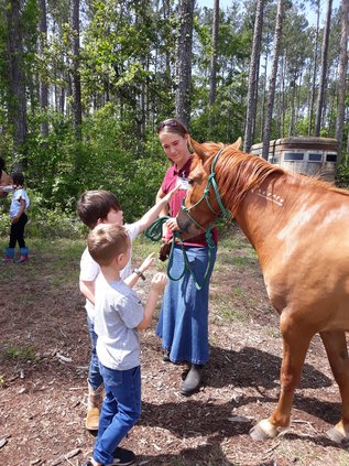 Horse at Joyful Acres