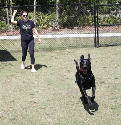 McCall Park Dog Park
