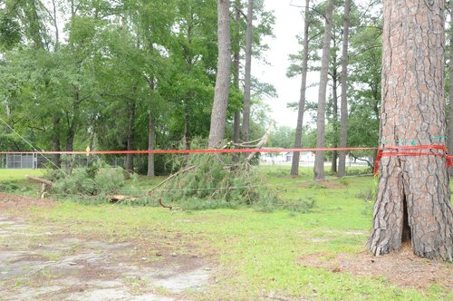 Downed power line at Guyton Elementary