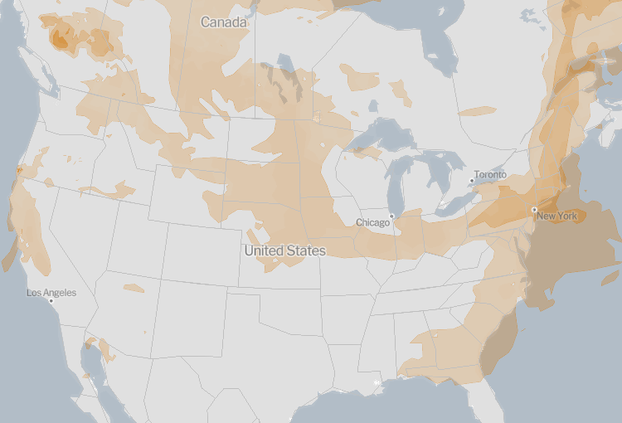 Smoke map