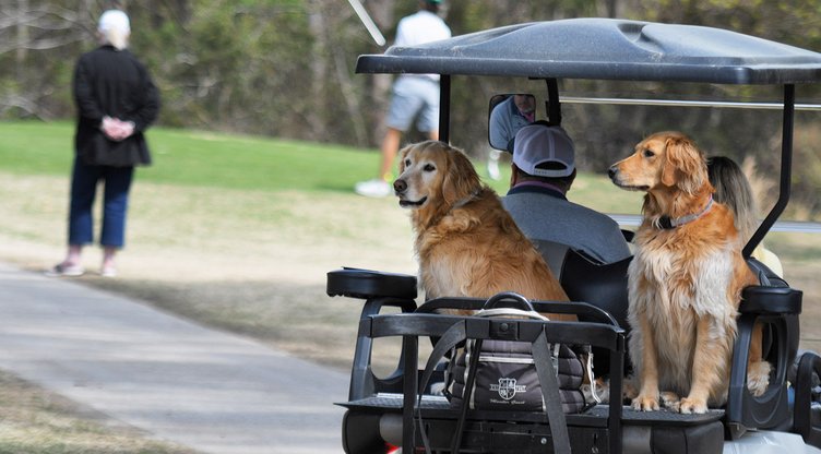 2024 Schenkel Invitational