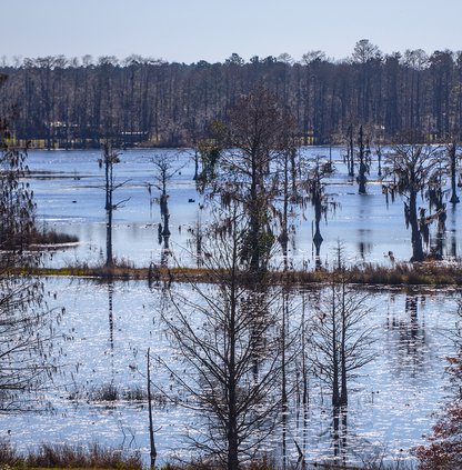 scott bryant/herald File Kennedy Pond is shown above in 2019. The Conservancy will hold a workshop about plastics on Saturday.
