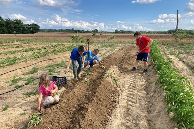 Mack Family Farm potatoes