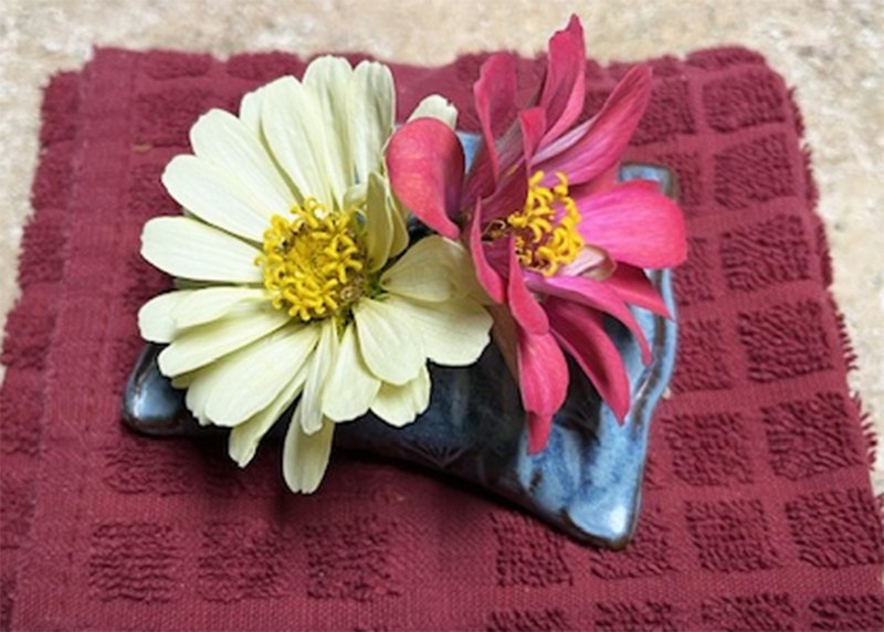 Blooms