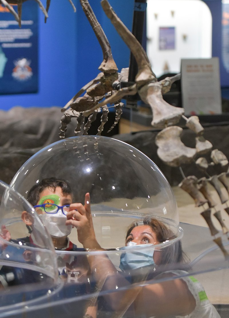 Georgia Southern Museum