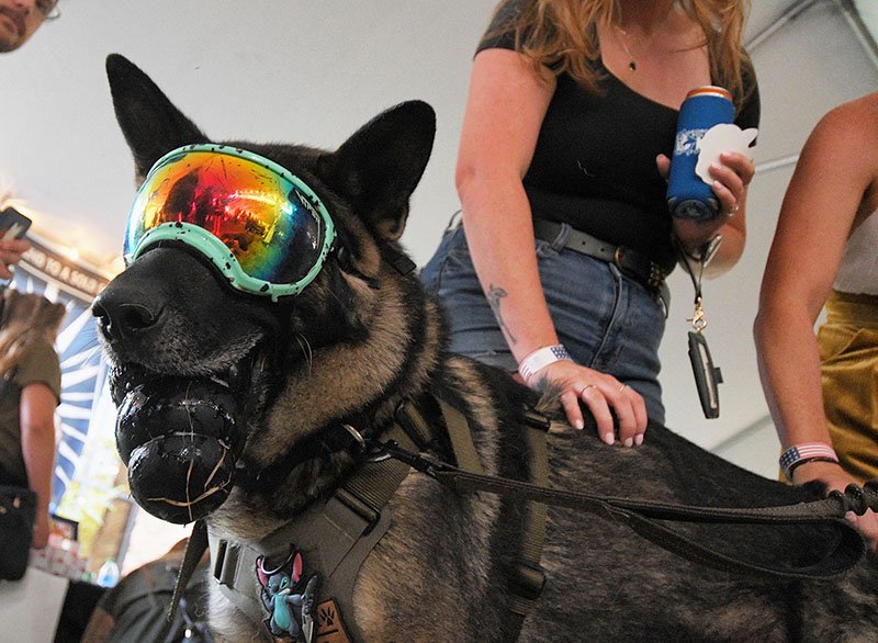 Evening for K9s 2024