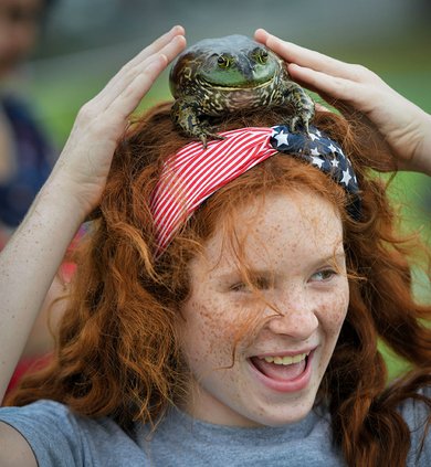 Firecracker Fest 2024