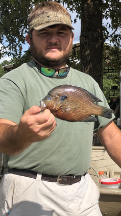 Jamie Boyett with record spotted sunfish