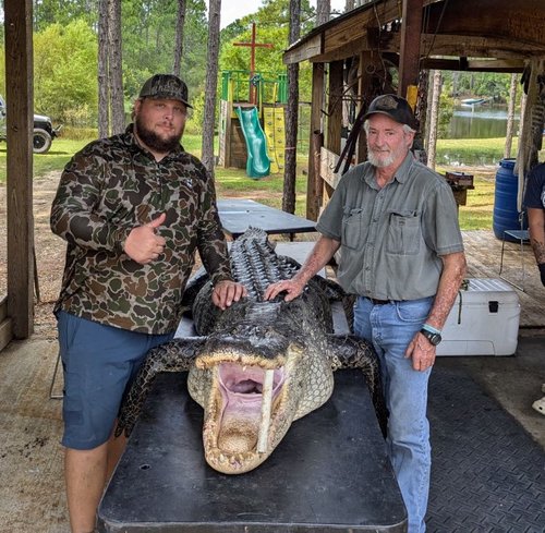 Andy Bedgood with gator