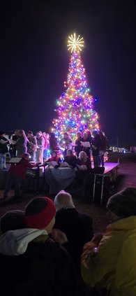 Pembroke tree