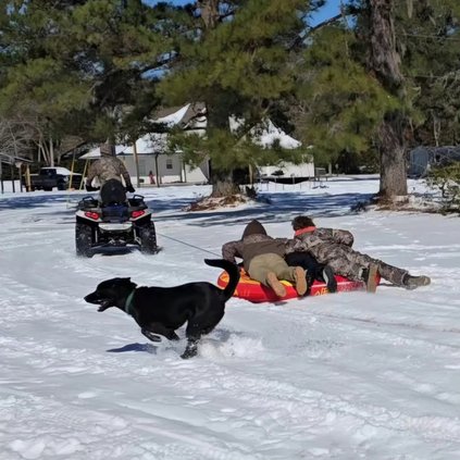 Kids and dog playing in snow