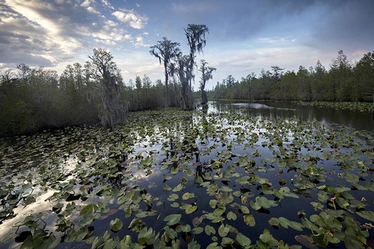 Mining threat near Okefenokee ends