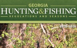 DNR Guide