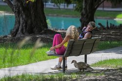 While enrollment numbers won't be finalized until October, Georgia Southern University is expected to set several records for the 2025 Fall semester that began Wednesday. The university projects an enrollment of more than 29,000 students, which would be a