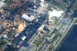 International Paper