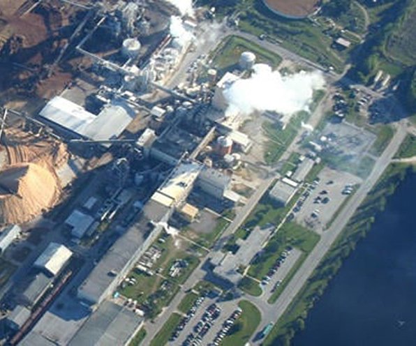 International Paper