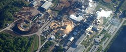 International Paper