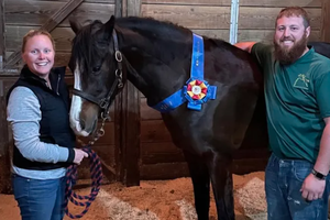 Equestrian Farm