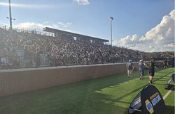 football crowd shot cropped